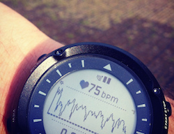 Watch monitor - also available as an app